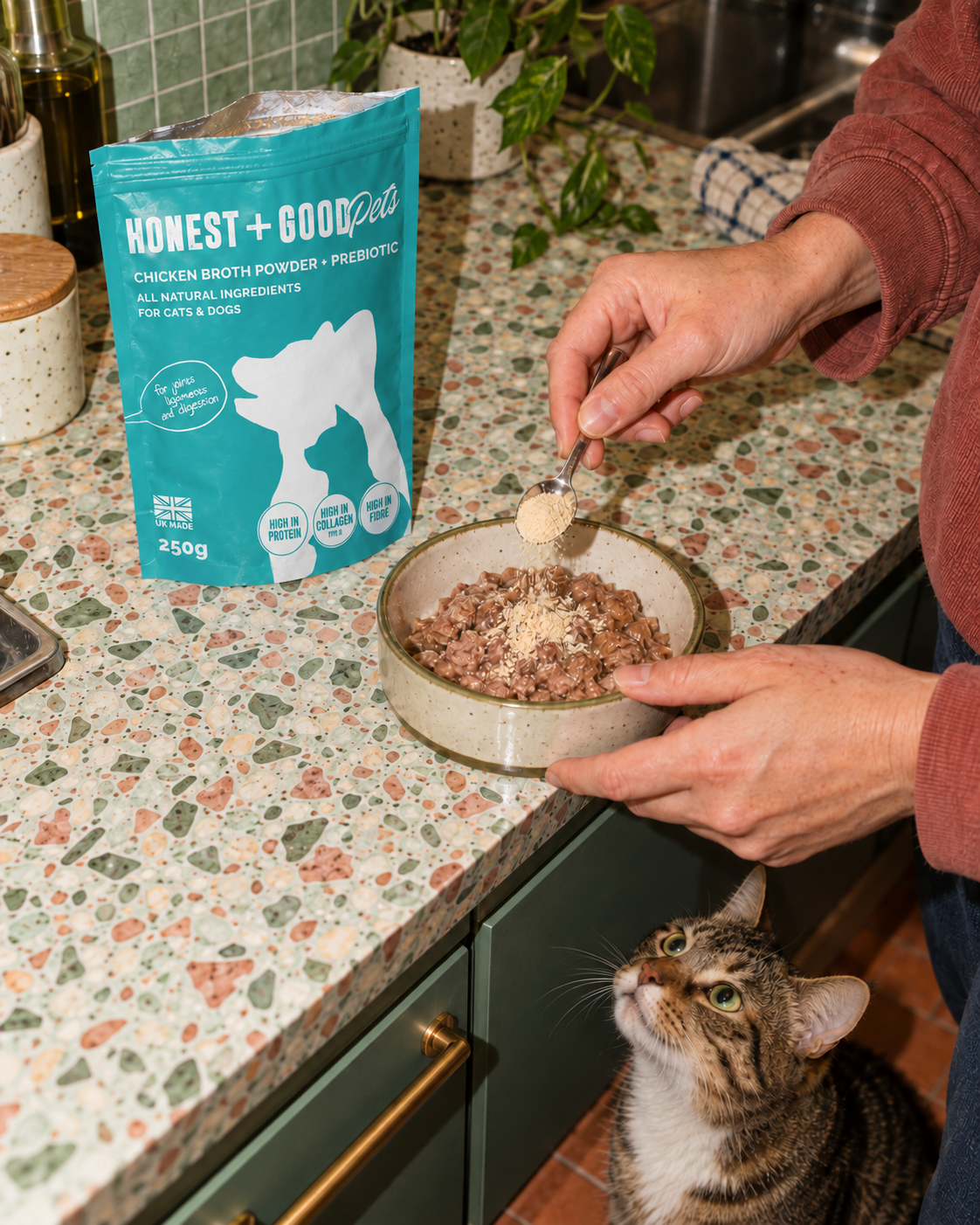 Adding Honest + Good Pets Chicken Broth + Prebiotic to a bowl while a cat watches